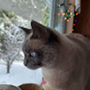 Meet your Posher, Deborah